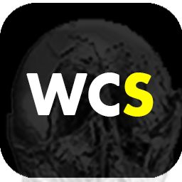 World Cup Graphics Studio logo